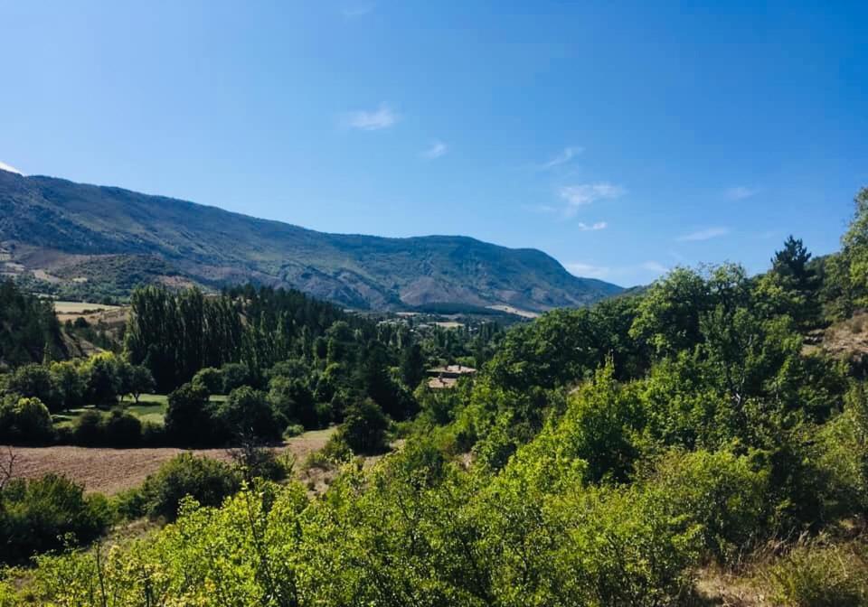 Le Moulin De La Viorne, Gite Avec Piscine Au Coeur De La Nature En Haute-Provence Les Omergues Esterno foto