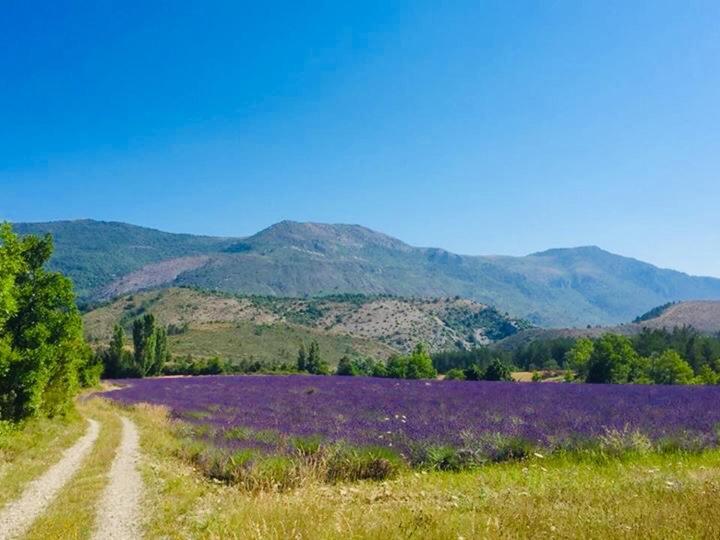 Le Moulin De La Viorne, Gite Avec Piscine Au Coeur De La Nature En Haute-Provence Les Omergues Esterno foto