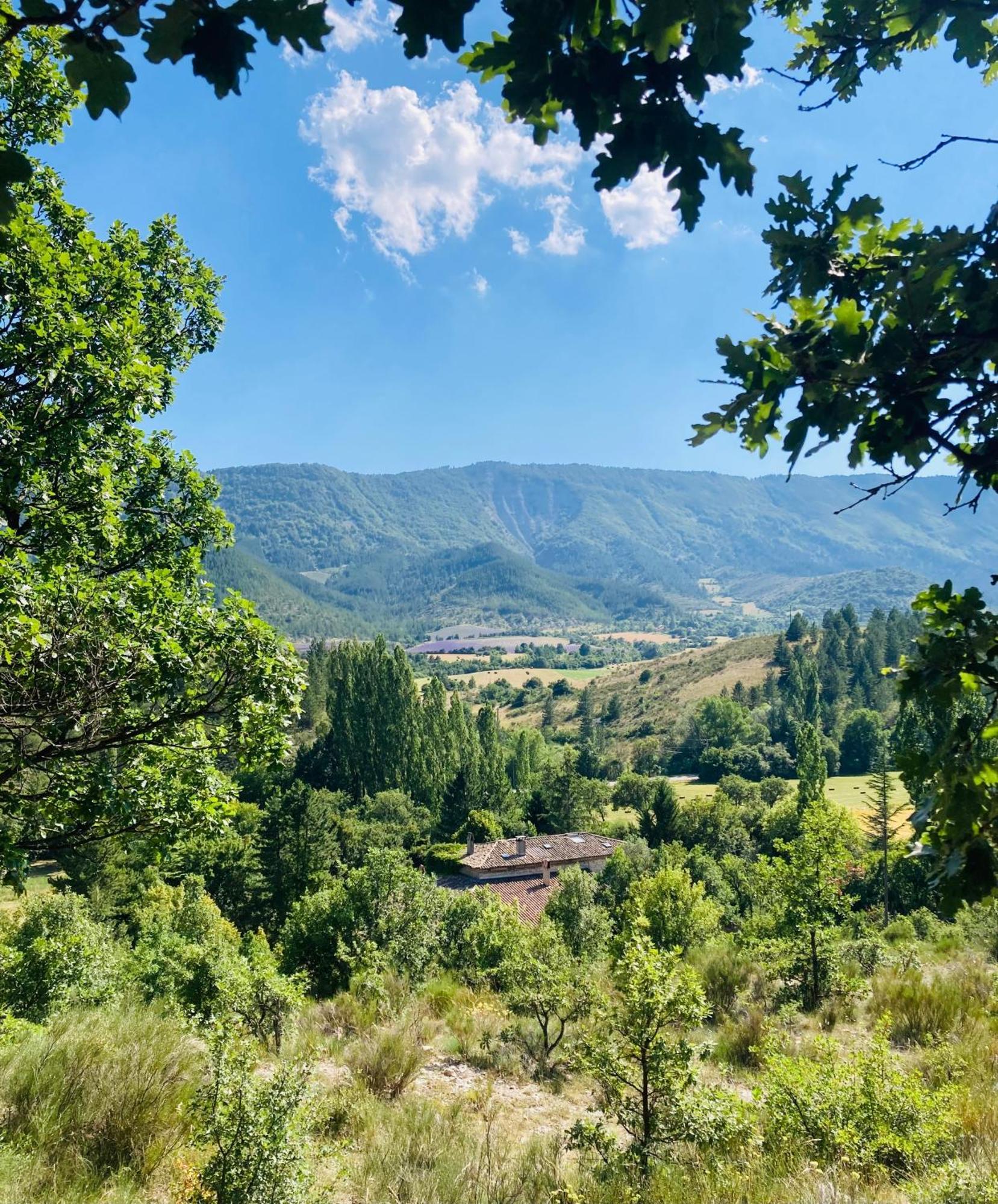 Le Moulin De La Viorne, Gite Avec Piscine Au Coeur De La Nature En Haute-Provence Les Omergues Esterno foto