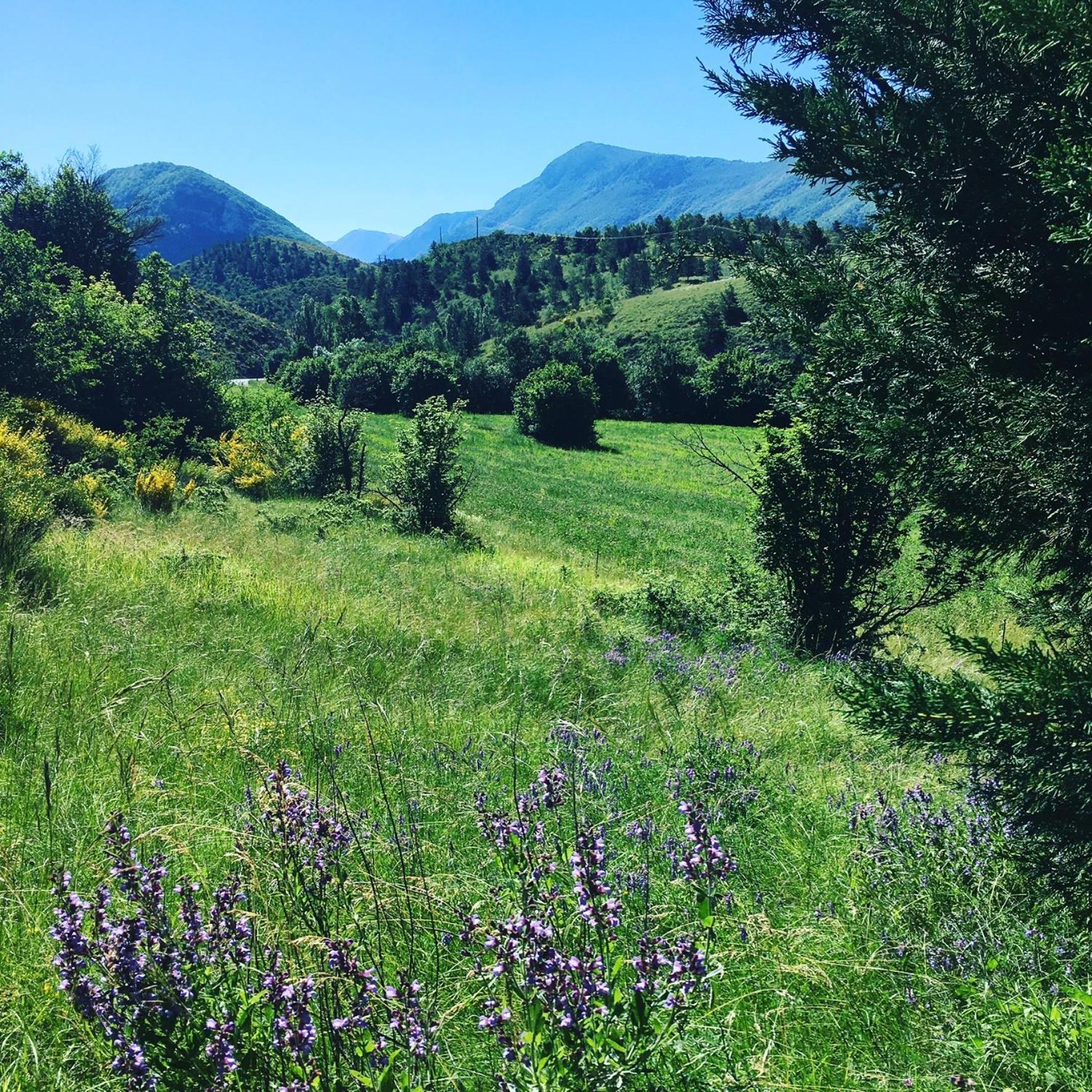 Le Moulin De La Viorne, Gite Avec Piscine Au Coeur De La Nature En Haute-Provence Les Omergues Esterno foto