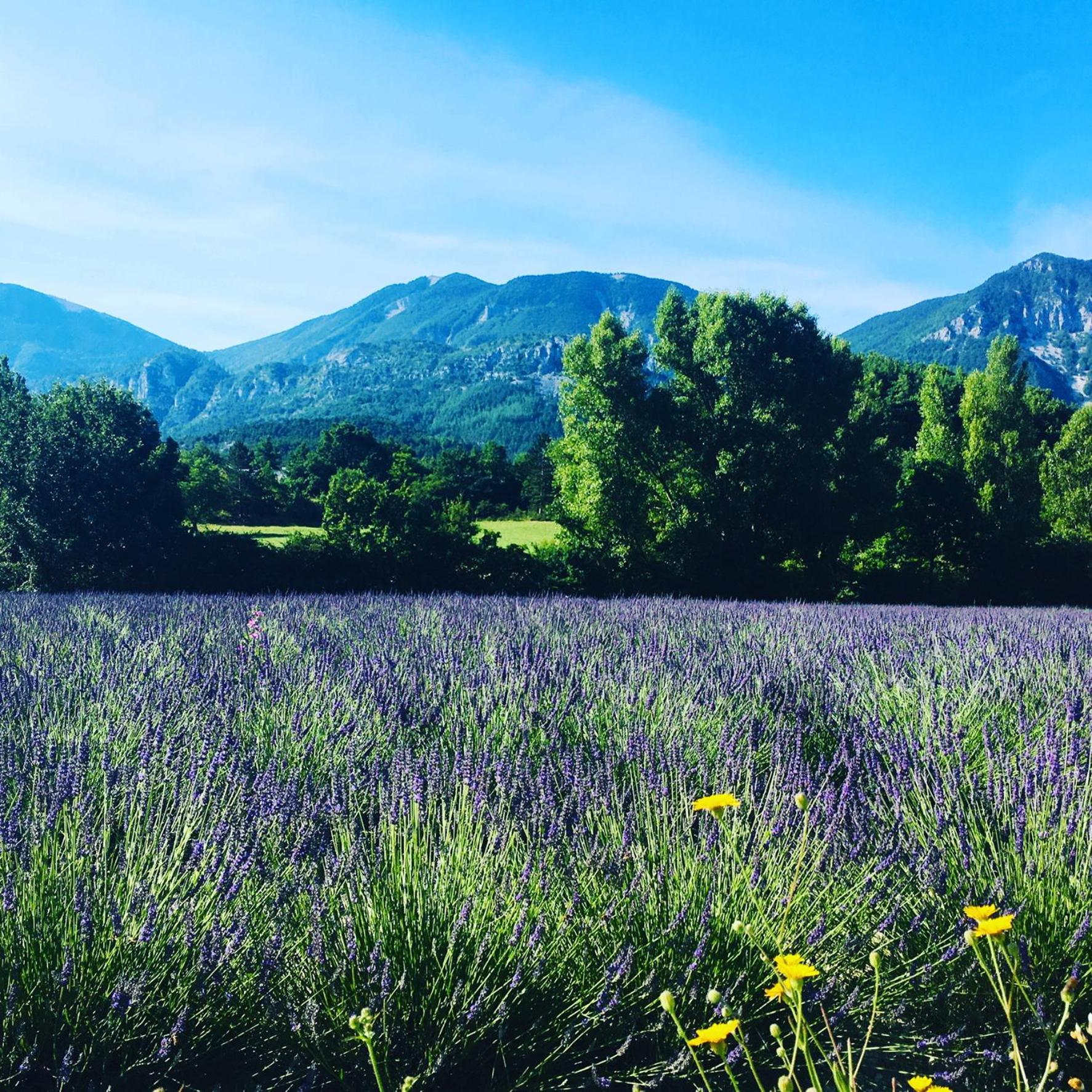 Le Moulin De La Viorne, Gite Avec Piscine Au Coeur De La Nature En Haute-Provence Les Omergues Esterno foto