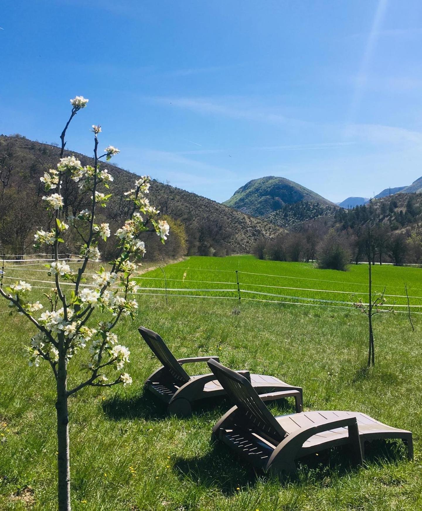 Le Moulin De La Viorne, Gite Avec Piscine Au Coeur De La Nature En Haute-Provence Les Omergues Esterno foto