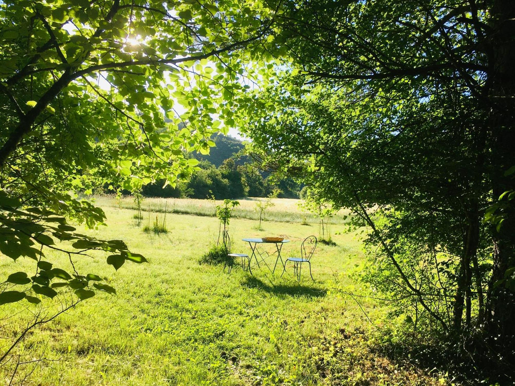 Le Moulin De La Viorne, Gite Avec Piscine Au Coeur De La Nature En Haute-Provence Les Omergues Esterno foto
