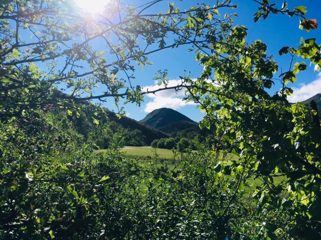 Le Moulin De La Viorne, Gite Avec Piscine Au Coeur De La Nature En Haute-Provence Les Omergues Esterno foto