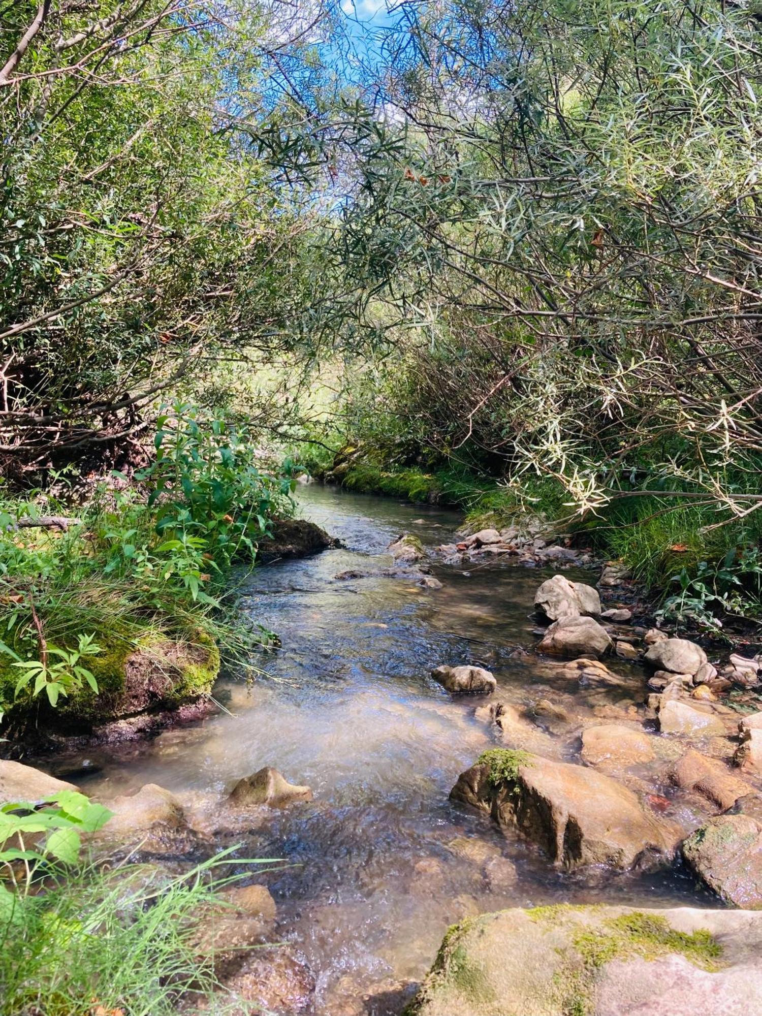Le Moulin De La Viorne, Gite Avec Piscine Au Coeur De La Nature En Haute-Provence Les Omergues Esterno foto